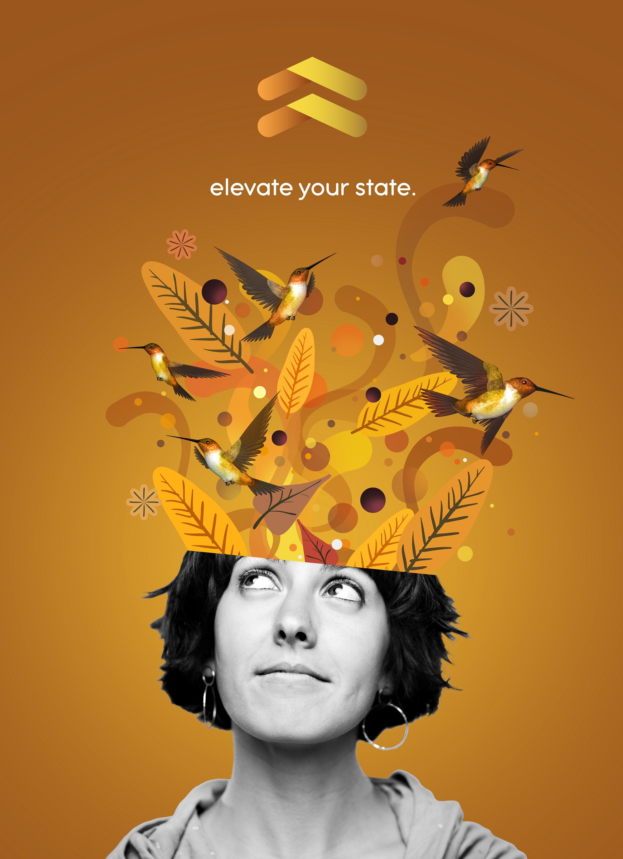 A black and white photo of a woman with short dark hair looking upward, with colorful digital illustrations of leaves and hummingbirds emerging from her head, and the text "elevate your state" above.