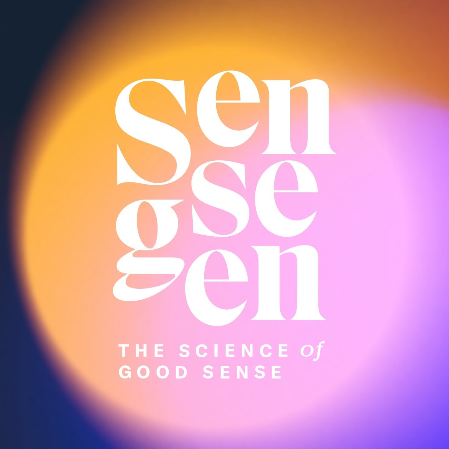 Colorful gradient background with large white text reading 'seng se' and smaller white text below saying 'The science of good sense'.