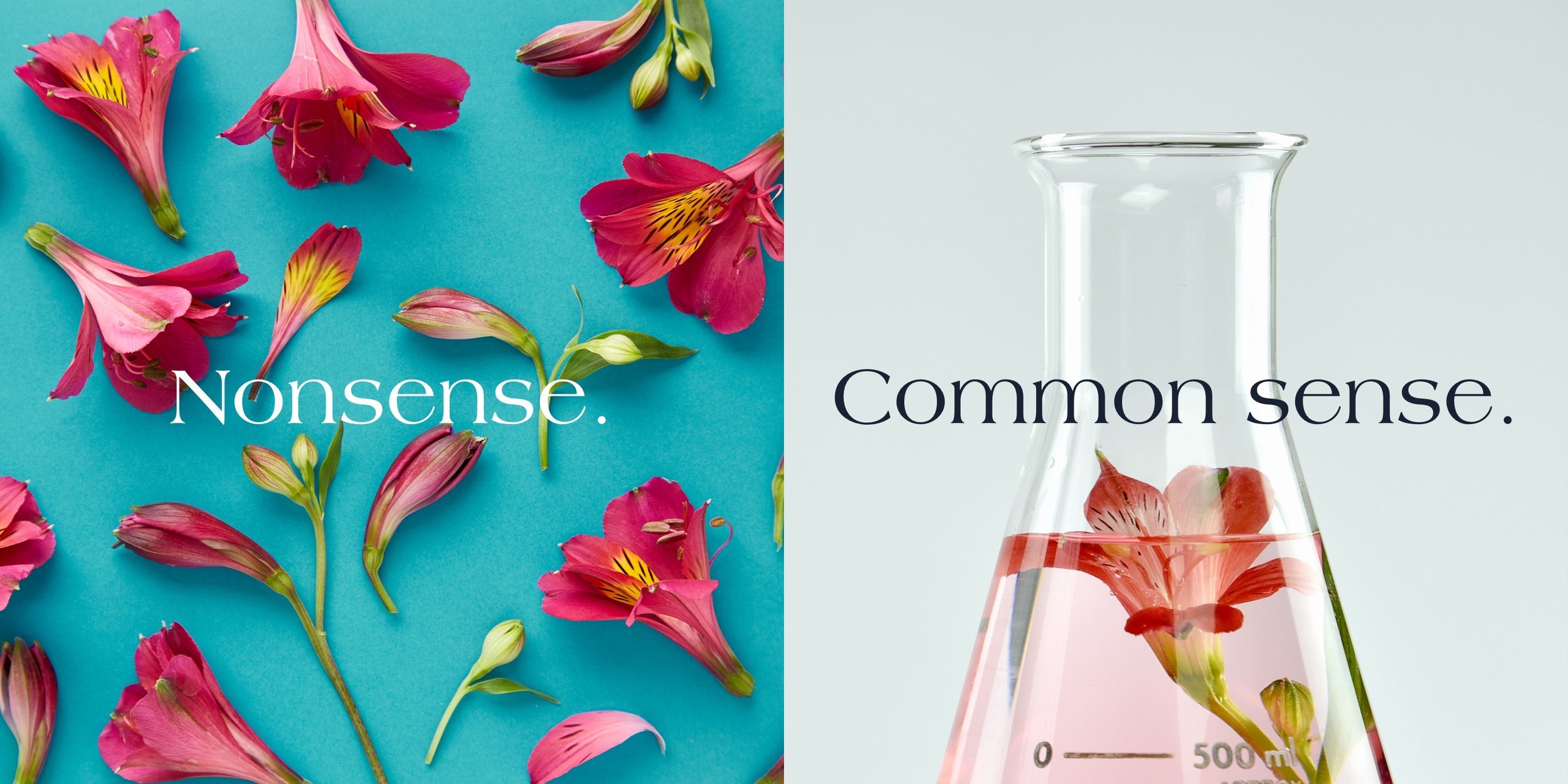 Split image with flowers on the left labeled 'Nonsense,' and a glass laboratory flask with a flower inside on the right labeled 'Common sense.'
