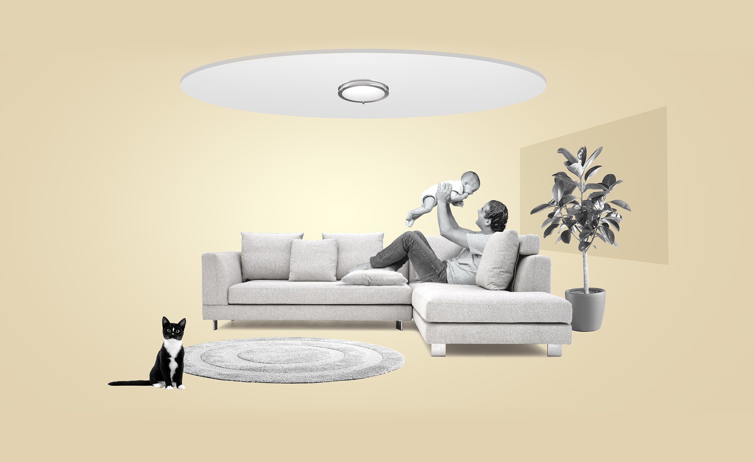 A man lying on a light-colored sectional sofa lifting a baby in the air in a minimalist living room with beige walls, a potted plant, a round rug, and a black and white cat sitting on the floor.